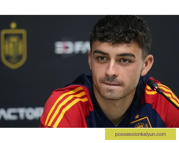 佩德里在西班牙国家队中的表现稳健，成为未来的足球骄傲